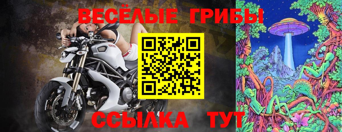 Галлюциногенные грибы мухоморы Петропавловск-Камчатский