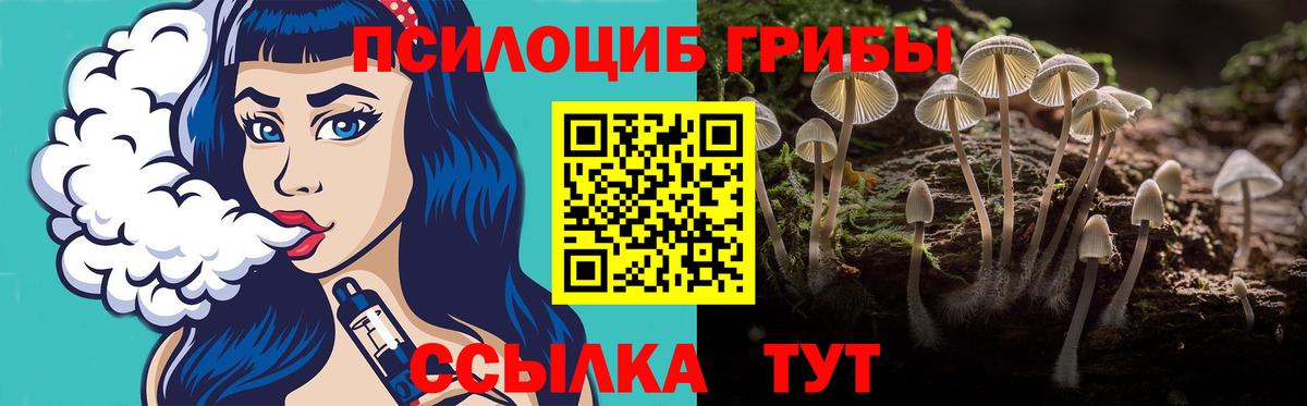 Псилоцибиновые грибы MAGIC MUSHROOMS  Галлюциногенные грибы Psilocybine cubensis  Петропавловск-Камчатский  Вход с VPN 